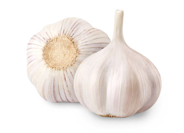 Raw whole garlic isolated on white background. Full depth of field.